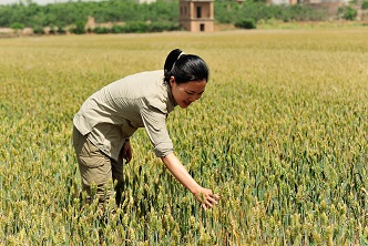 T&iacute;tulo da Not&iacute;cia