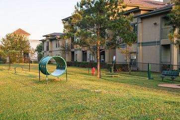 T&iacute;tulo da Not&iacute;cia