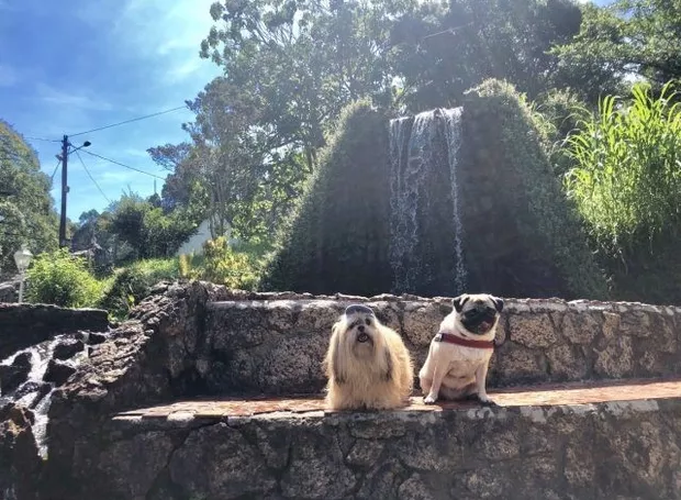 T&iacute;tulo da Not&iacute;cia